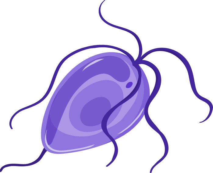 http://Trichomoniasis