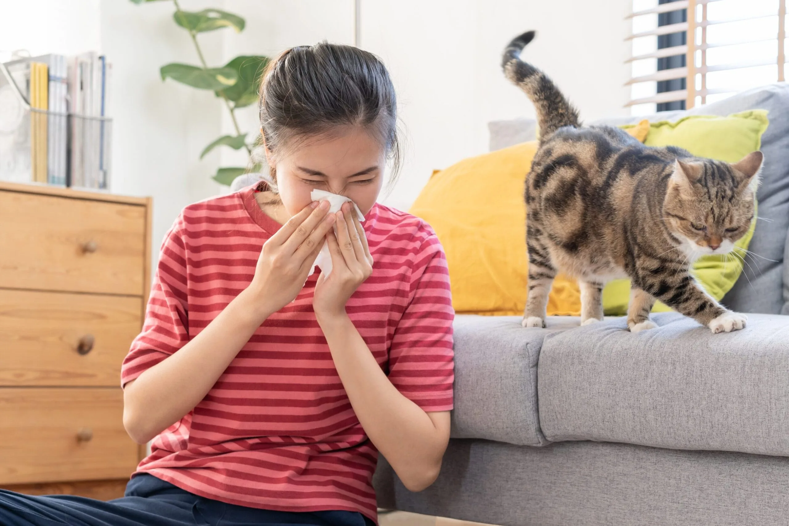 Environmental Allergies in Singapore: Identifying and Managing Triggers