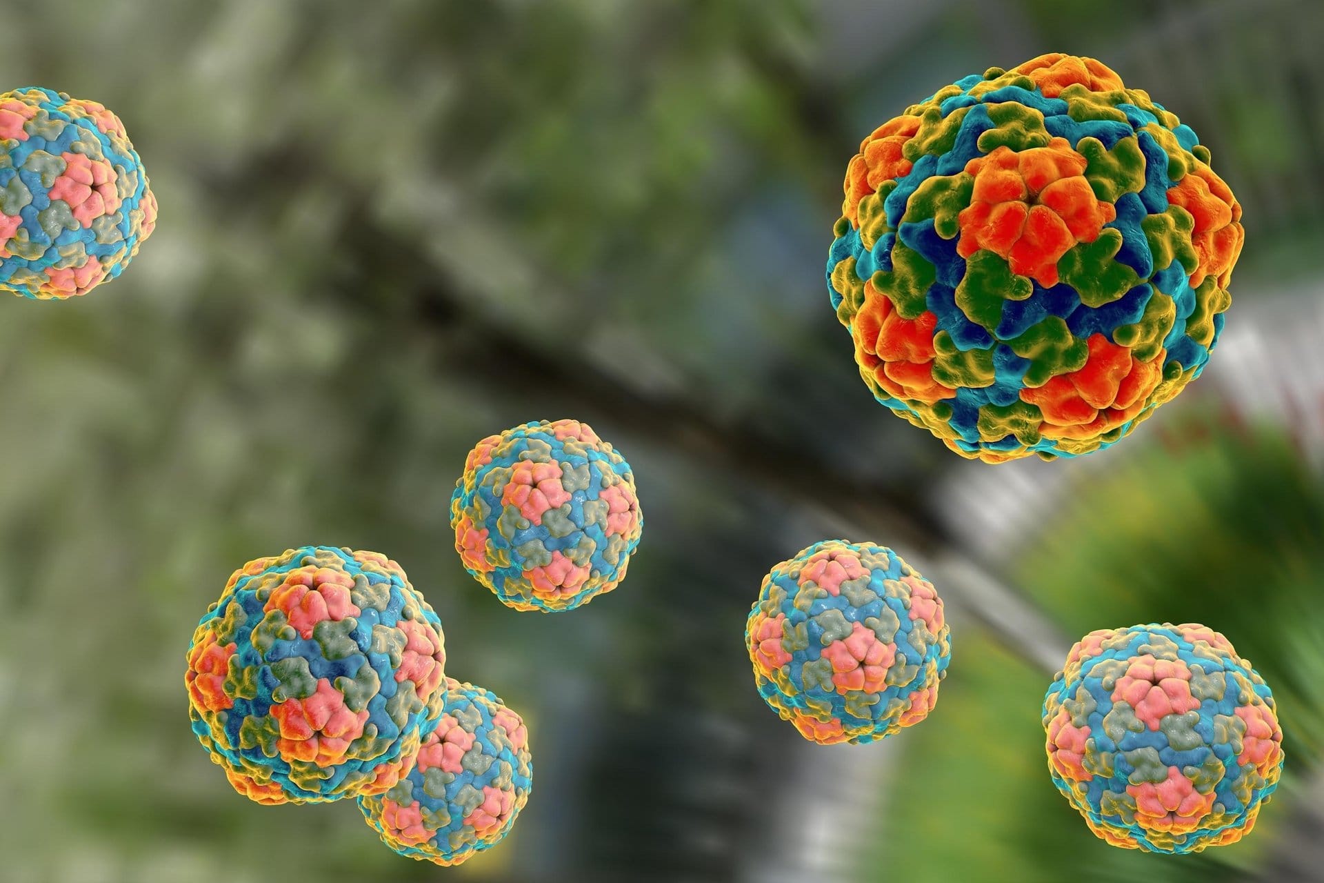http://What%20Is%20Hepatitis%20B?