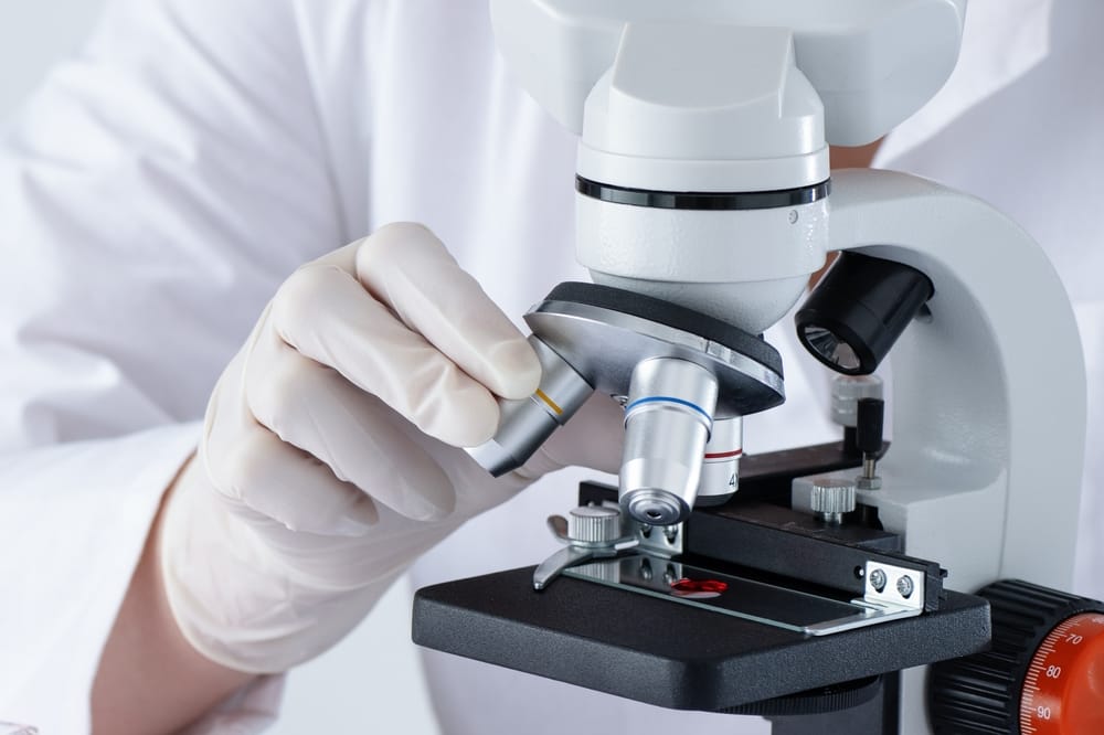 Understanding Your Laboratory Test Results